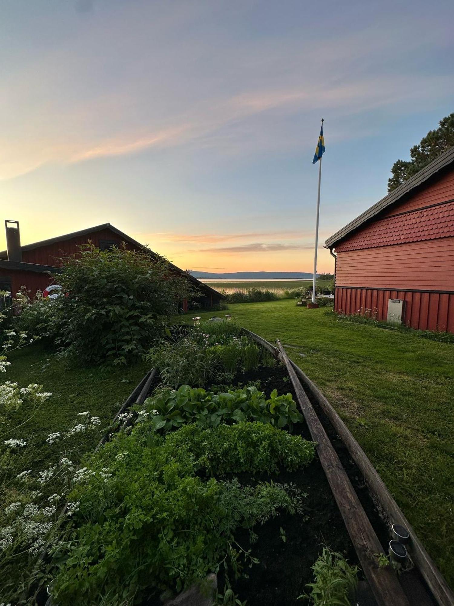 Camp Caroli Hobbit Hut Villa Jukkasjärvi Eksteriør billede